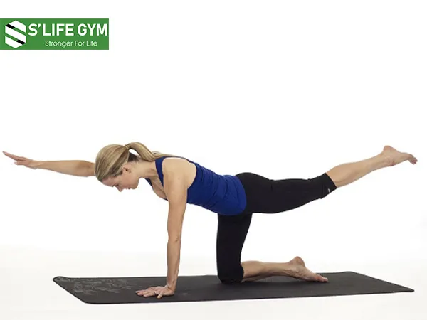 Bài tập gym tăng cơ nhẹ nhàng với: Push – Up With Hip Extension