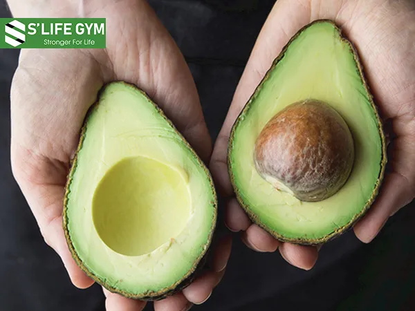 Có thể bạn chưa biết, bơ cũng là trái cây tăng cơ bắp