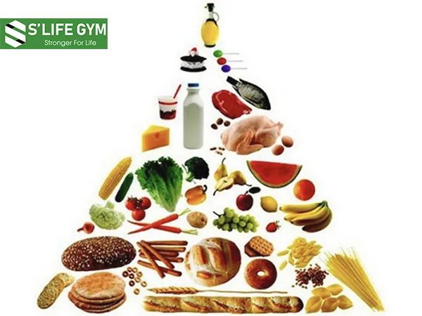 Chế độ dinh dưỡng khoa học