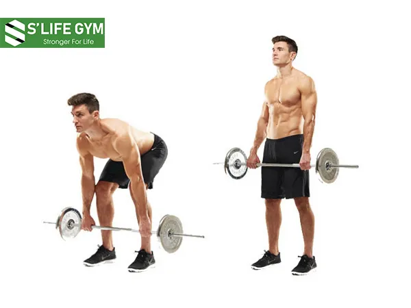 Một số lưu ý khi nâng tạ Một số lưu ý khi nâng tạ