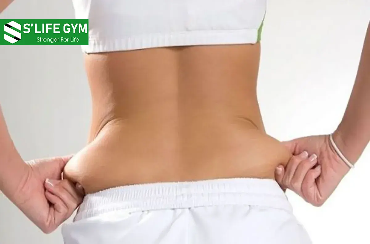 Làm Thế Nào Để Giảm Mỡ Lưng Hiệu Quả Tại Nhà?