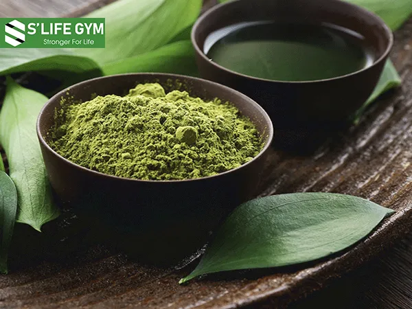 Sử dụng bột trà xanh giảm cân trước khi ăn sáng khoảng 30 phút