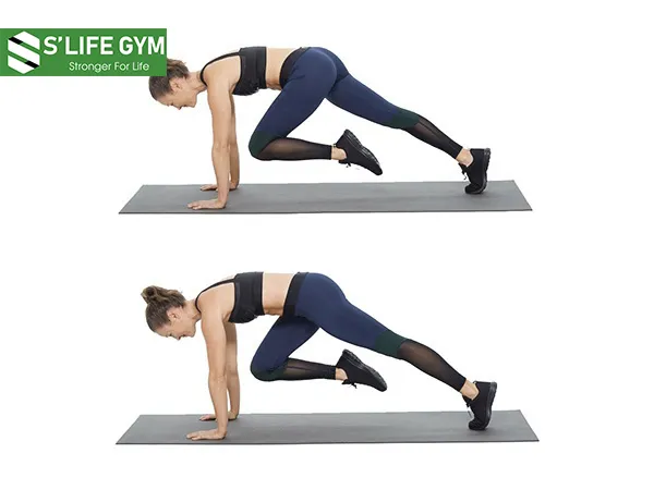 Bài tập sức bền Mountain Climbers