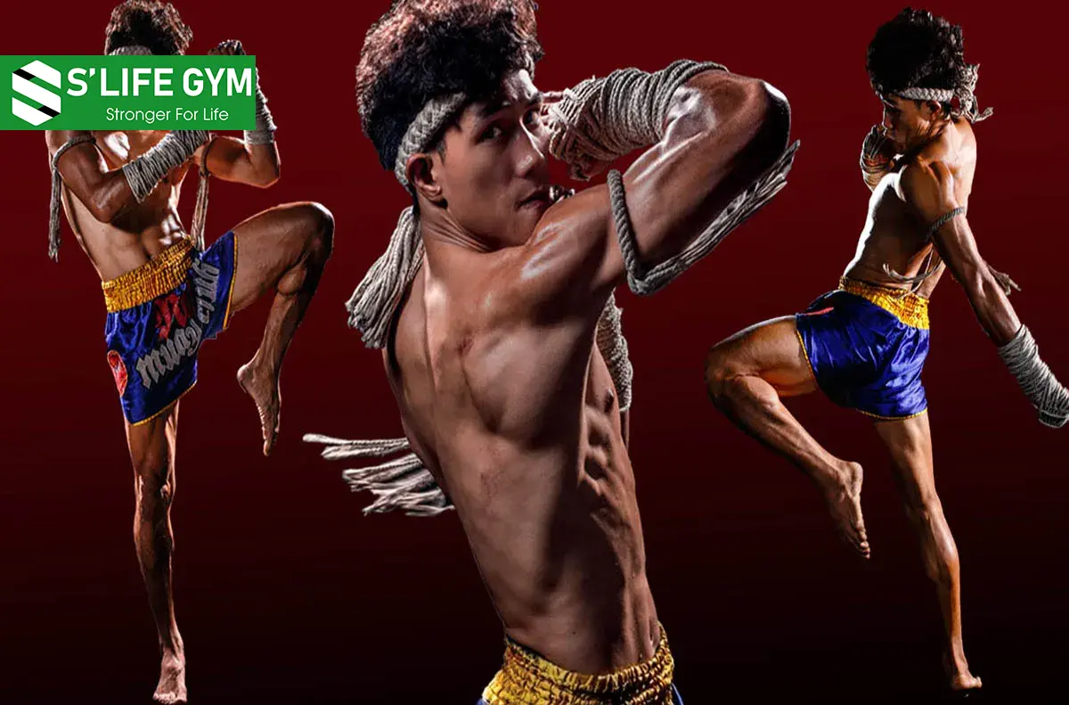 Võ Muay Thái Là Gì? Những Điều Cần Biết Trước Khi Học Muay Thái