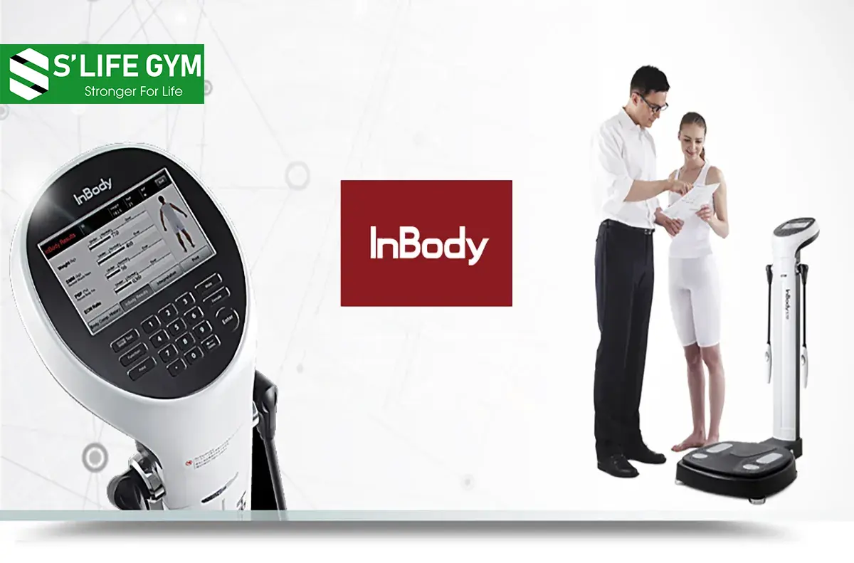 Tại Sao Phải Đo Inbody? Loại Máy Này Cho Bạn Biết Điều Gì?