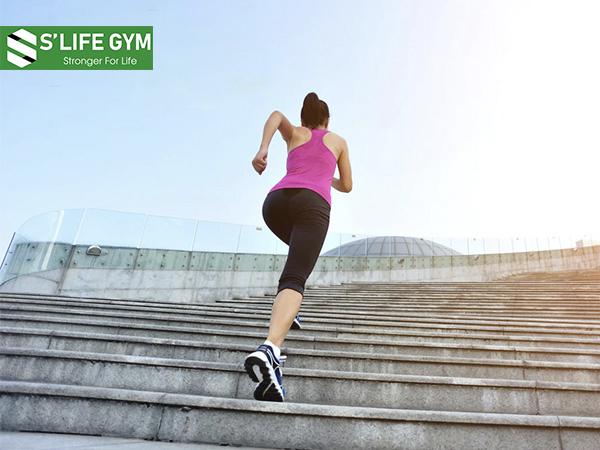 Bài tập gym tăng cơ cho nữ hiệu quả - Stair Climb With Bicep Curl