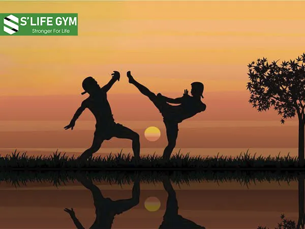 Lợi ích của Muay Thái giúp tăng cường sự dẻo dai