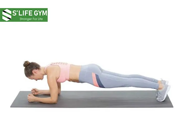 Plank cẳng tay 