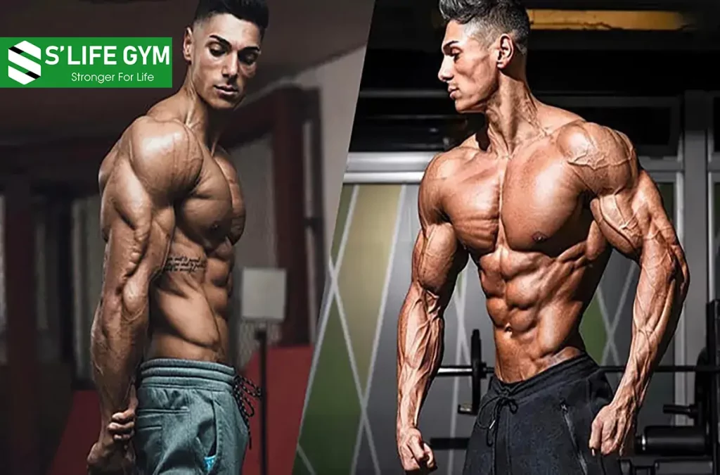 Các Thực Phẩm Nên Ăn Khi Siết Cơ Cần Bổ Sung Vào Thực Đơn