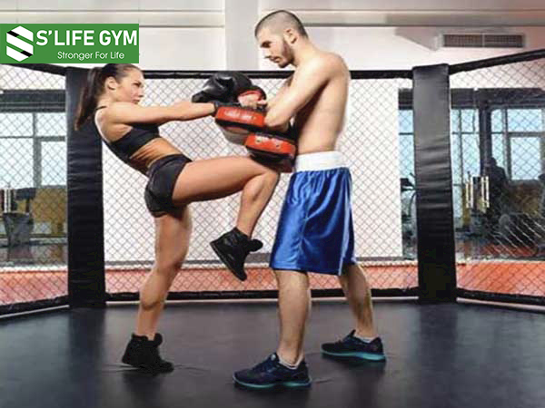 Trong MMA vai trò HLV rất quan trọng họ sẽ hướng dẫn bạn tập đúng cách và tránh khỏi các chấn thương