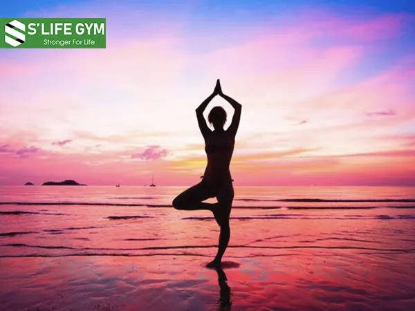 Thiền đứng mang lại hiệu quả thể chất và tinh thần