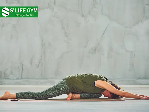 Tư thế thiên nga ngủ