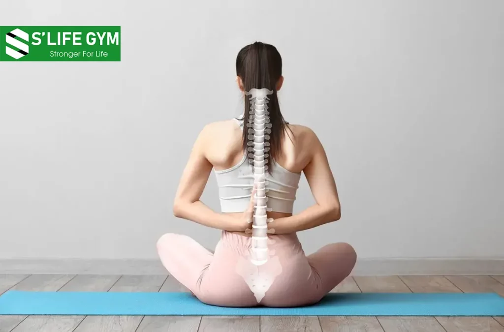 Tư Thế Yoga Giảm Đau Lưng Trên Hiệu Quả