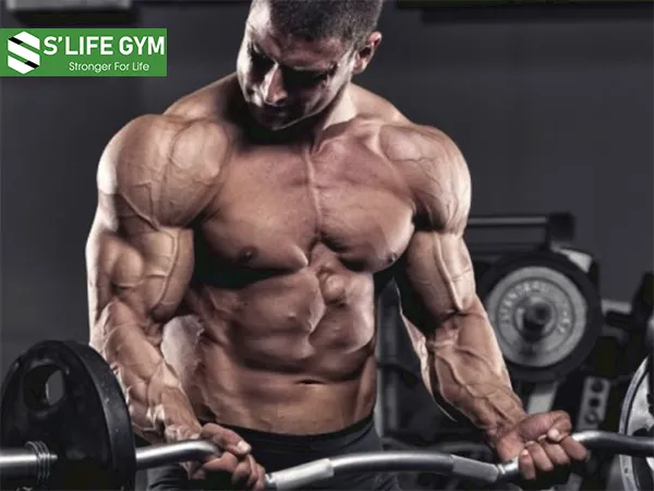 Xả cơ (Bulking) là quá trình bạn thực hiện chế độ dinh dưỡng và tập luyện theo phương pháp đặc biệt