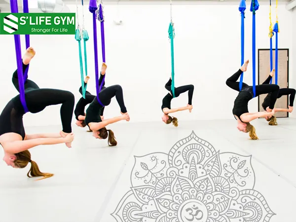 Yoga bay giúp mang lại nhiều lợi ích