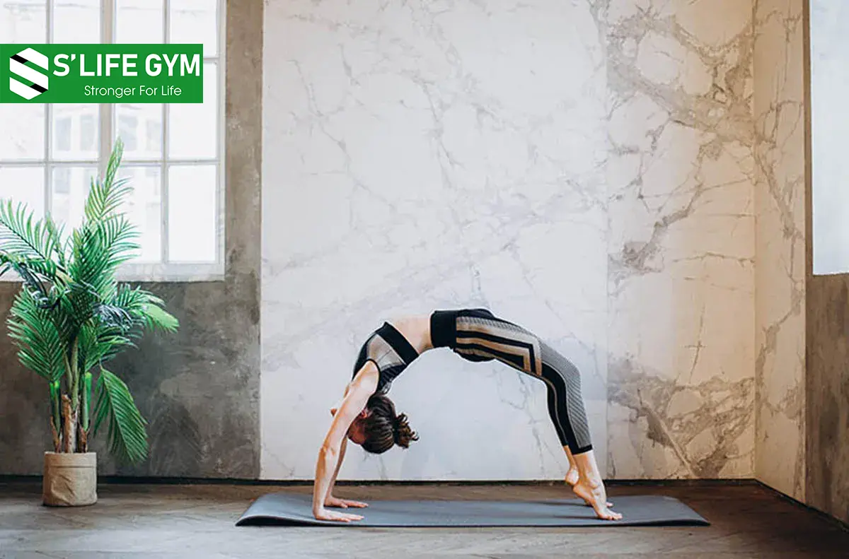 S’Life Giới Thiệu Những Bài Tập Yoga Giảm Mỡ Đùi Hiệu Quả