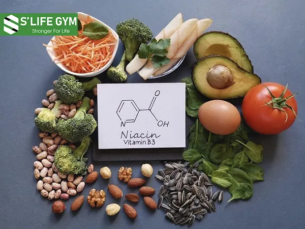 Vitamin B3 mang lại lợi ích tích cực cho cơ thể