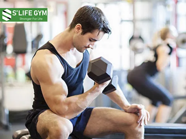 Chia lịch tập phù hợp giúp bạn tập trung phát triển nhóm cơ hiệu quả