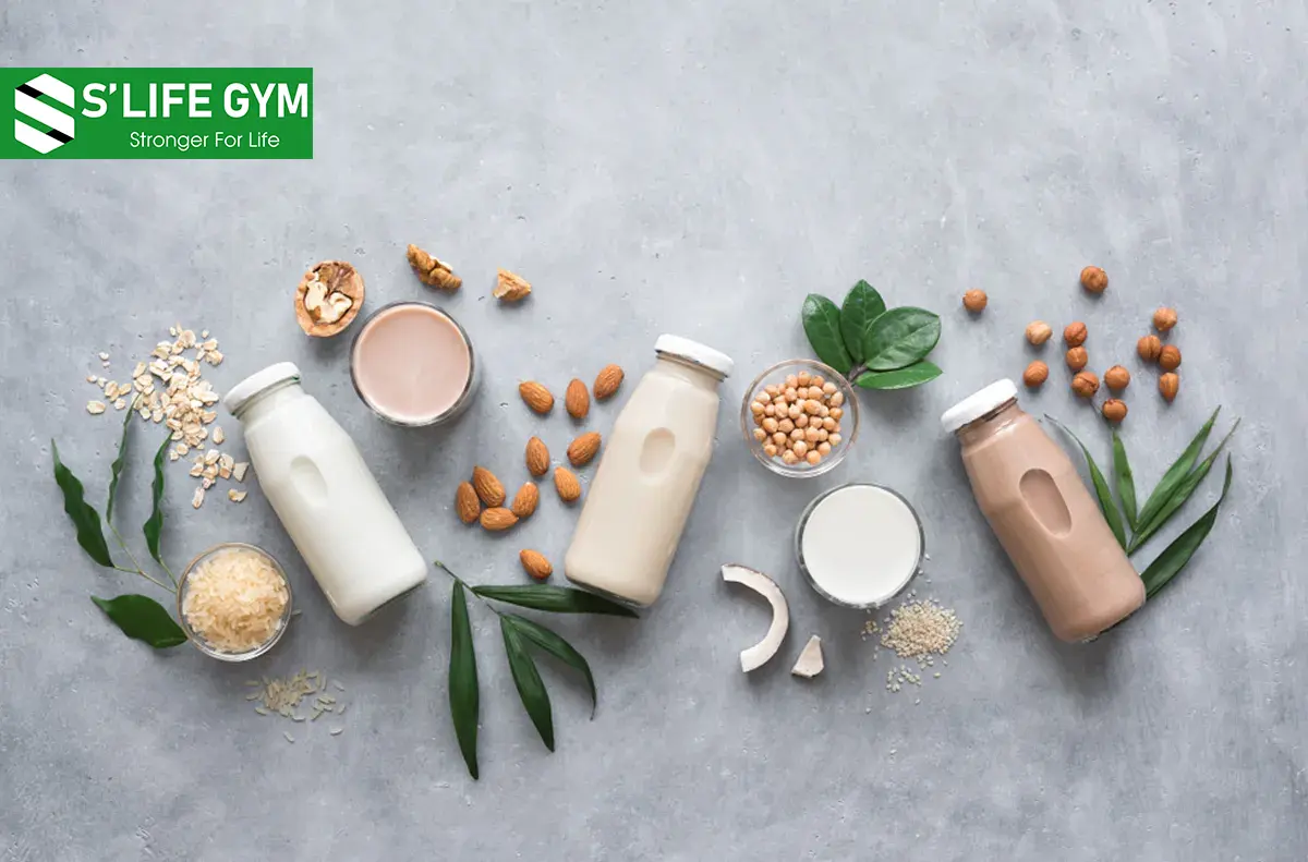Những Công Thức Pha Chế Nước Uống Giàu Protein Đơn Giản