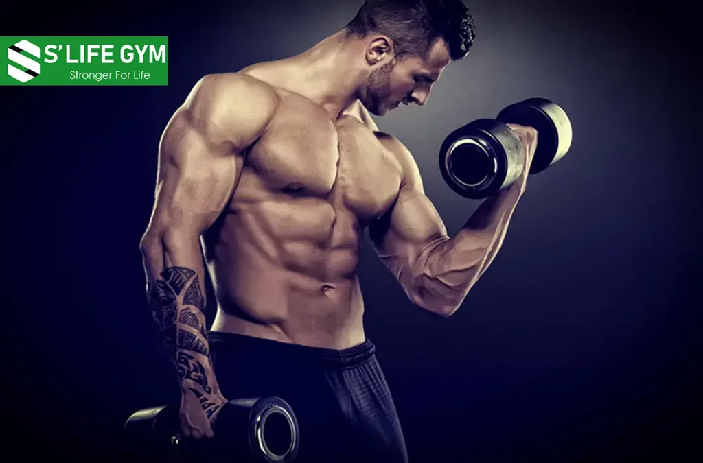 Siết Cơ Là Gì? Tập Luyện Đúng Cách Giúp Mang Lại Hiệu Quả