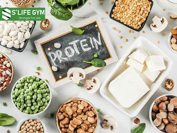 Protein mang lại nhiều lợi ích tốt cho sức khỏe