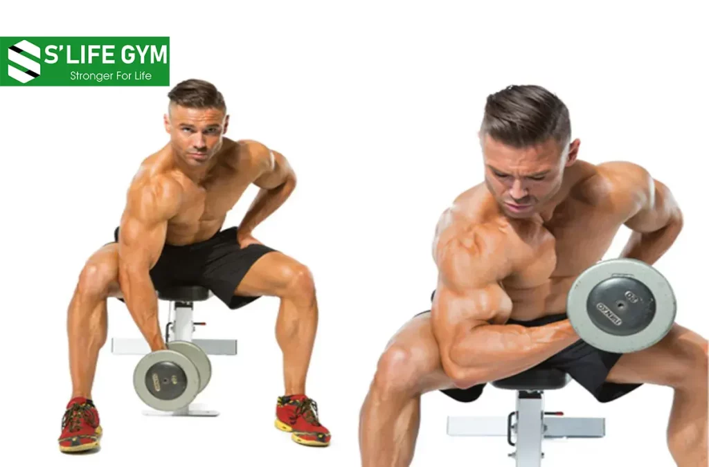 Chia Sẻ 7 Bài Tập Tạ Tay Đơn Giản Tại Nhà Dành Cho Phái Mạnh