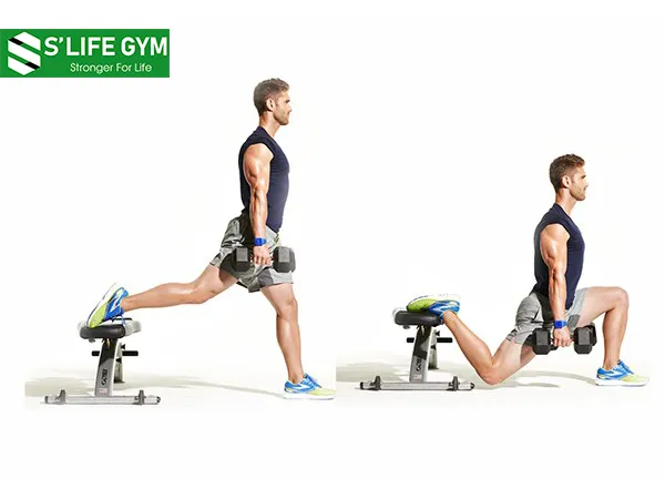 Dumbbell Single Leg Split Squat cần đến sự hỗ trợ của ghế tập tạ và hai quả tạ
