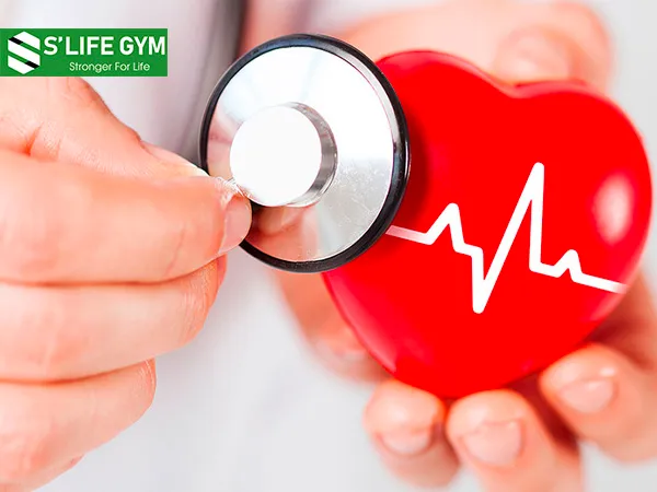 Tác dụng của Collagen giúp củng cố tim mạch