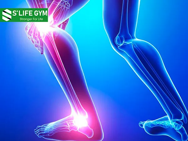 Hỗ trợ khớp xương và giảm đau cơ là tác dụng của Collagen