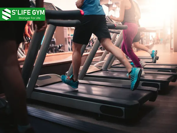 Tăng cường trao đổi chất cũng là một trong những tác dụng của Collagen