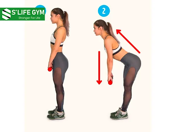 Cúi người kết hợp tạ - bài tập loại bỏ da sần vỏ cam kinh điển