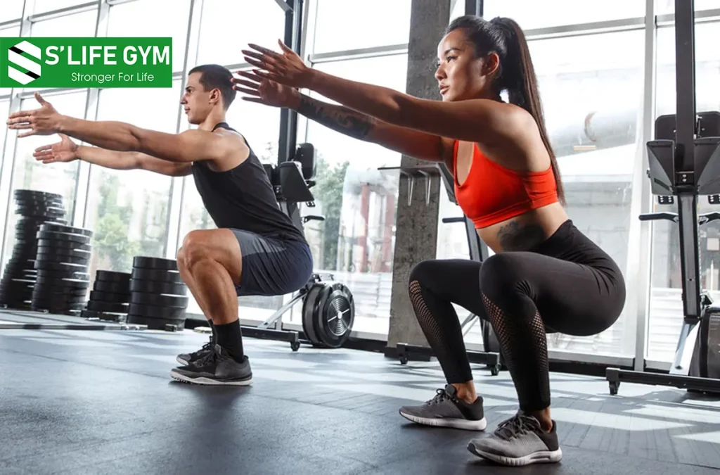 Tất Tần Tật Những Điều Cần Biết Về Squat Mà Bạn Phải Ghi Nhớ