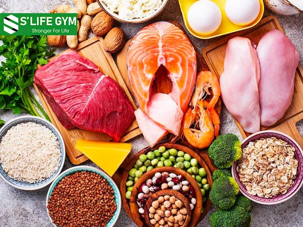 Protein - chất dinh dưỡng tốt cho cơ bắp hàng đầu