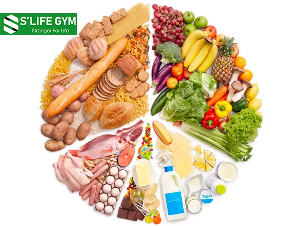 Protein thúc đẩy quá trình trao đổi chất, từ đó giúp cơ thể giải phóng năng lượng