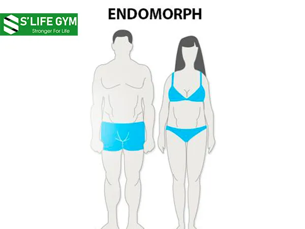 Tạng người trong thể hình: Endomorph