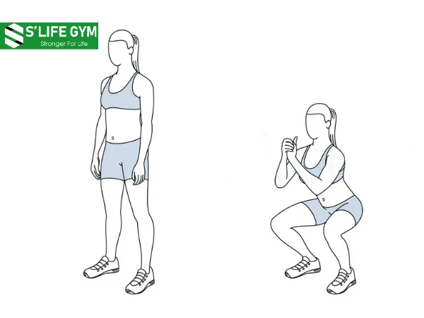 Tăng cường cơ mông, đùi, đốt mỡ chân và bụng