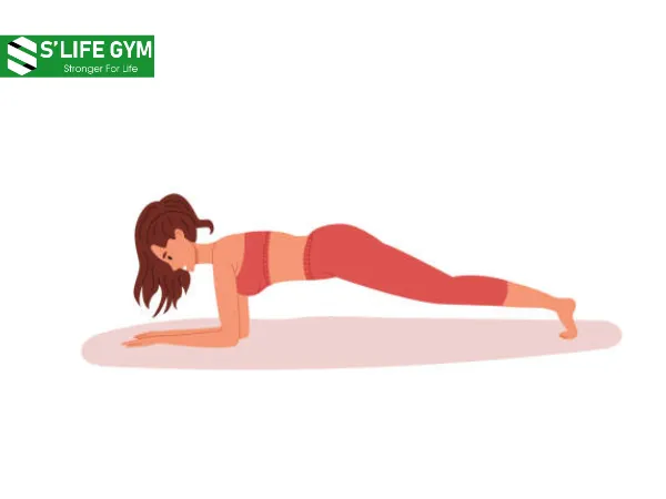 Tăng cường cơ bụng, eo thon, cải thiện sức mạnh cột sống