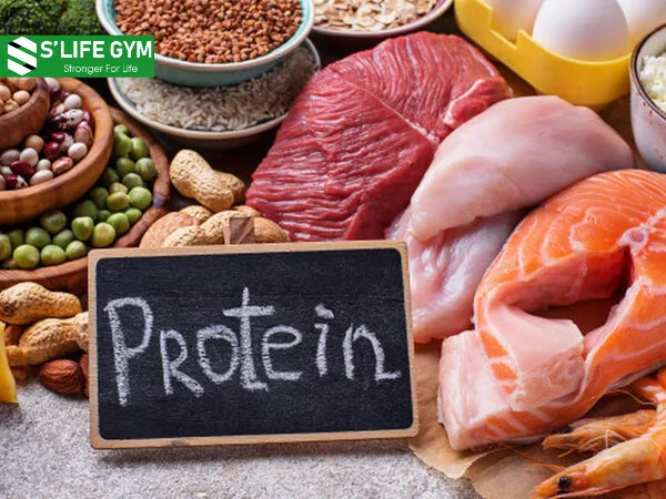 Ăn nhiều protein giúp tăng cơ, giảm mỡ