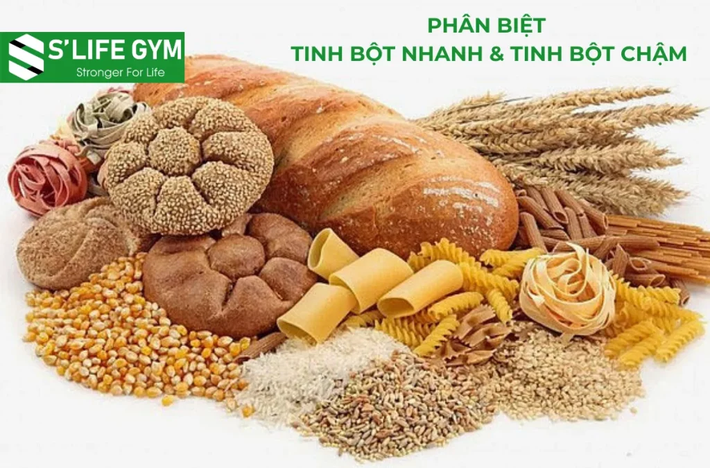 Tinh bột (carbohydrate) là nhóm chất dinh dưỡng không thể thiếu trong khẩu phần ăn hằng ngày.