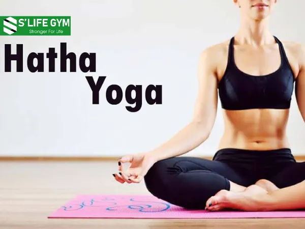 Hatha Yoga - nền tảng xây dựng thể lực, sự linh hoạt và tập trung
